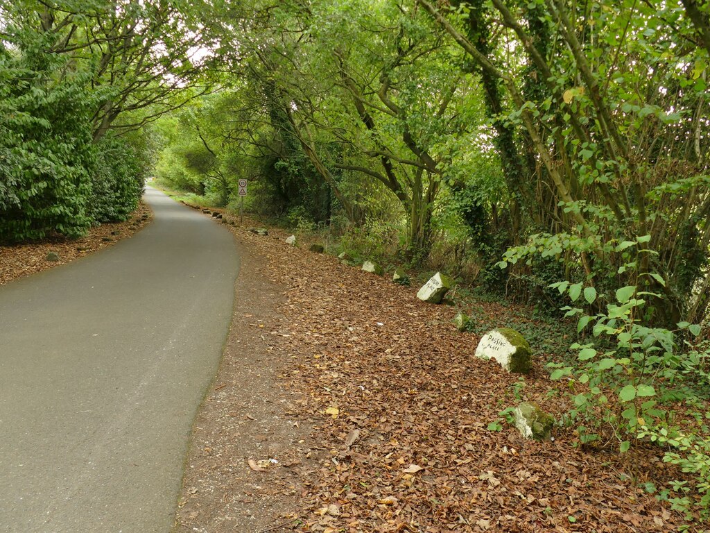 Leather Bank, a narrow tree-lined lane covered in fallen leaves, beside the site